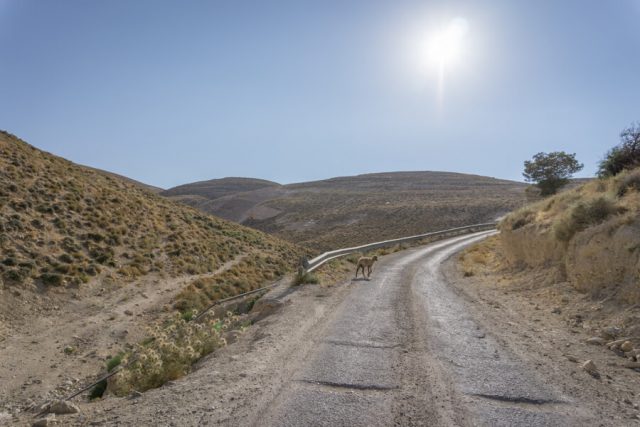 Jordanien Rundreise Urlaub Landschaft