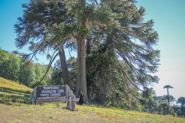 Araukania Chile Mapuche Malalcahuello