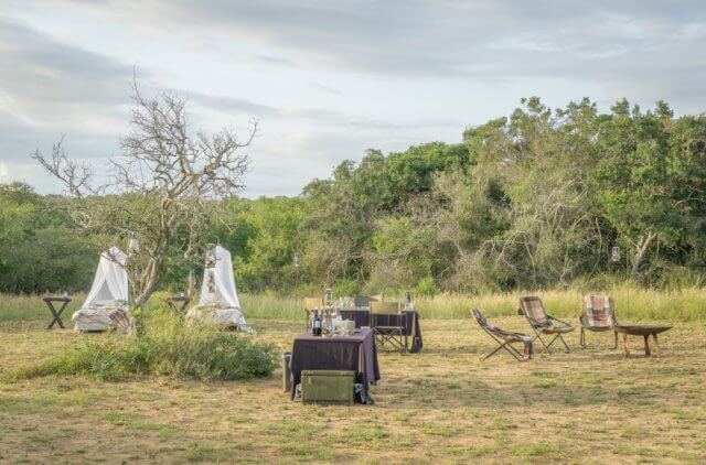 Suedafrika Phinda AndBeyond Private Game Reserve Safari