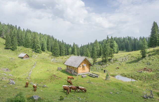 Oberoesterreich Pyhrn-Priel Wanderung Rote Wand