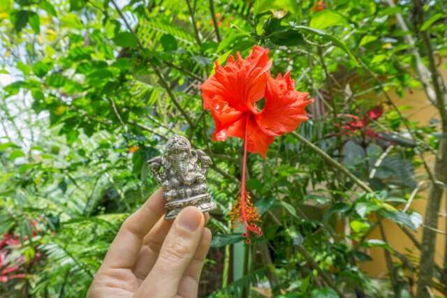 Oneworld Ayurveda Bali Panchakarma Ubud