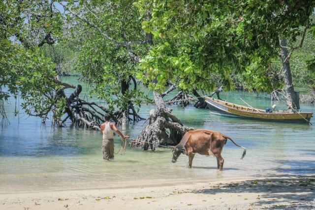 Andamanen Inseln Neil Island Silver Sand Beach Strand Kuh