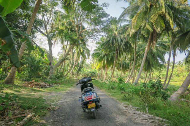 Andamanen Inseln Roller