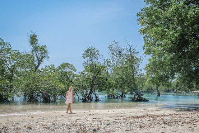 Andamanen Inseln Neil Island Silver Sand Beach Strand