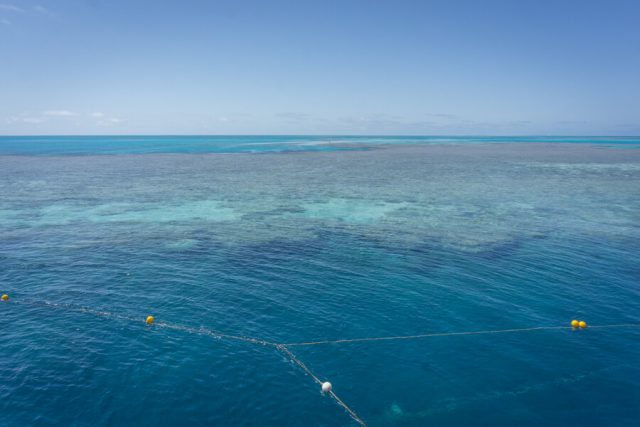 Great Barrier Reef Australien Schnorcheln