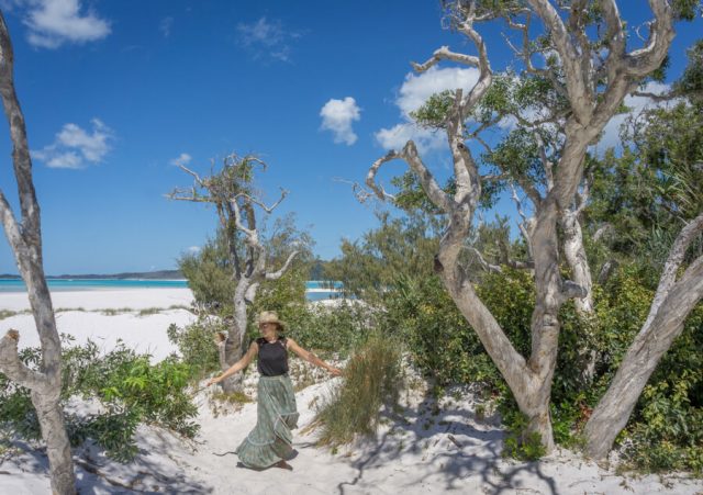 Whitsundays Camping Great Barrier Reef Queensland Australien Beach