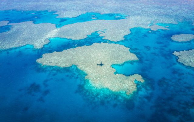 Whitsundays Great Barrier Reef Queensland Australien Riff