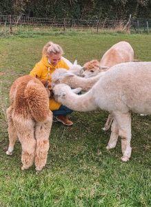 Limburg Holland: 6 Tipps für die Genießerregion um Roermond