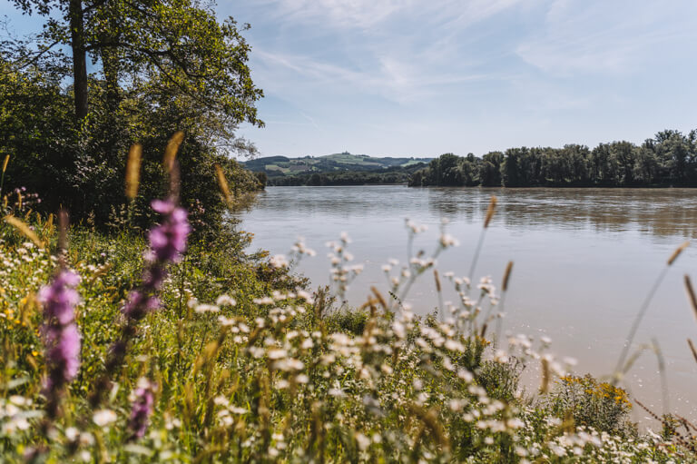 Donau Radweg Grein an der Donau Oberoesterreich