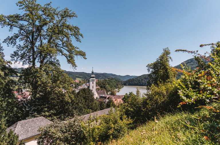 Schloss Greinburg Donaublick