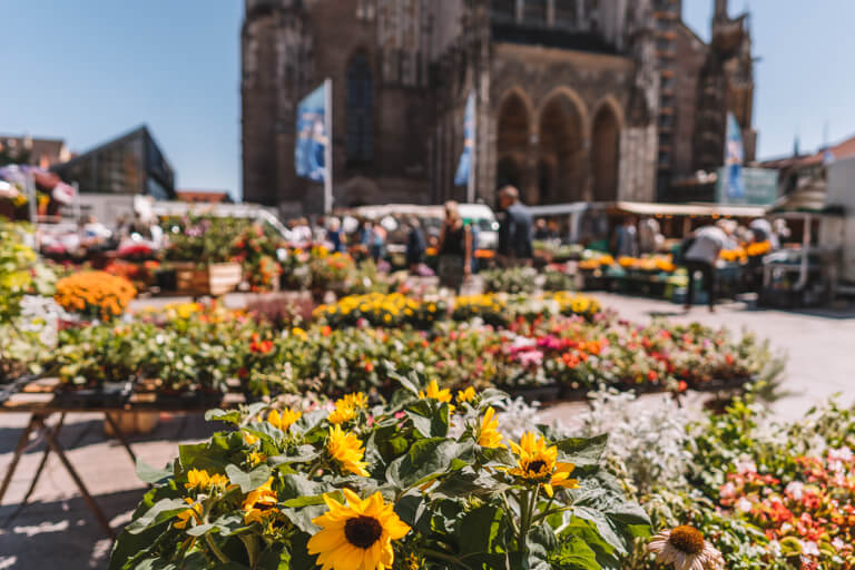 Wochenmarkt Muensterplatz