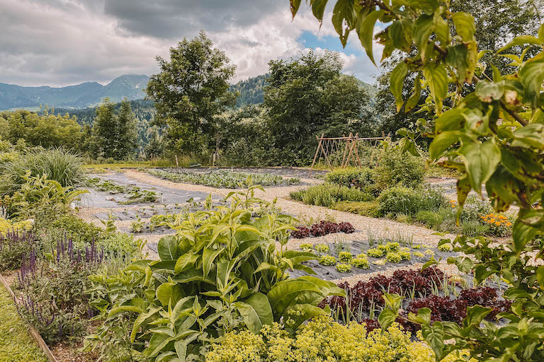 Ernele Hittisau Garten