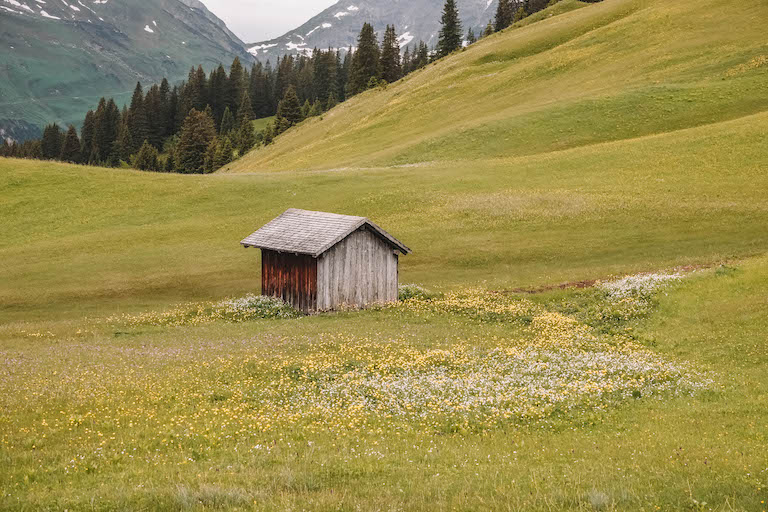 Lech am Arlberg Almwiese