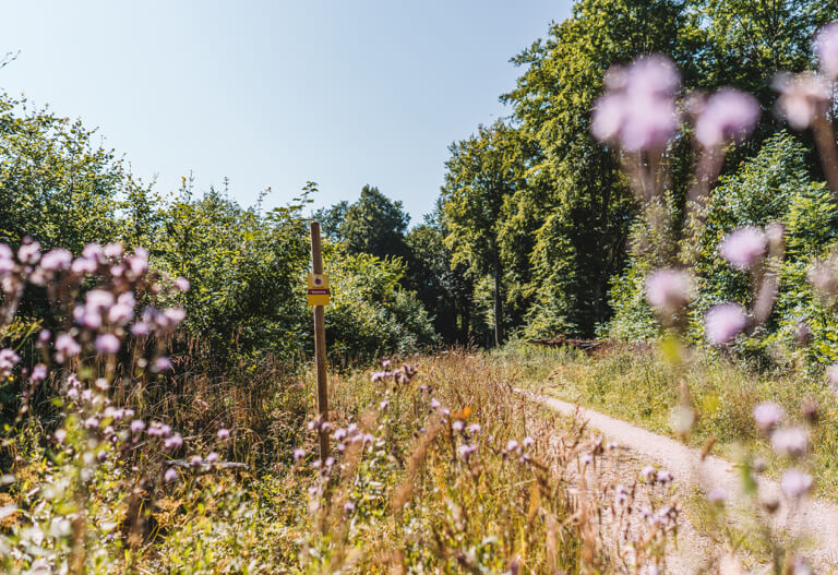 Donau-Ries-Wemding-Sagenweg-Kapelle