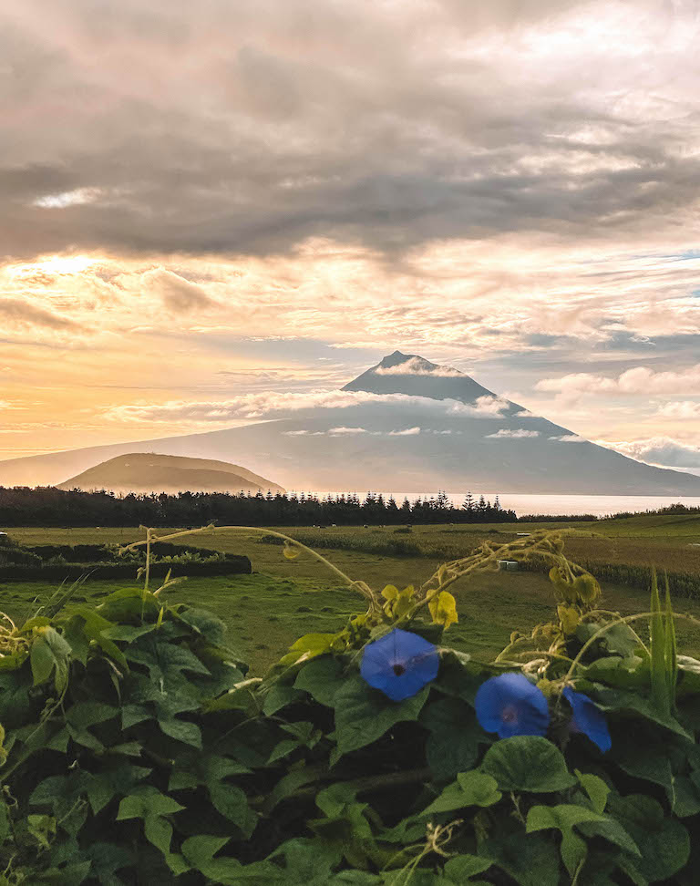 Faial Pico Vulkan Sonnenaufgang