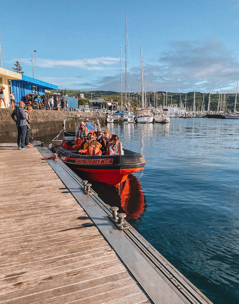 Noberto Diver Tour Faial