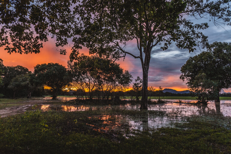 Yala-Nationalpark-Sonnenuntergang