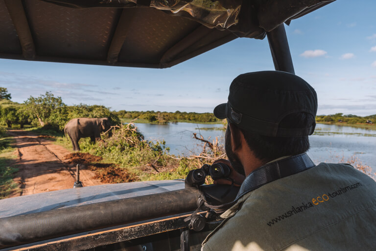 Yala-Nationalpark-Sri-Lanka-Elefanten-Safari