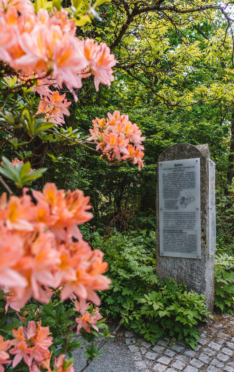 Bayreuth-Botanischer-Garten