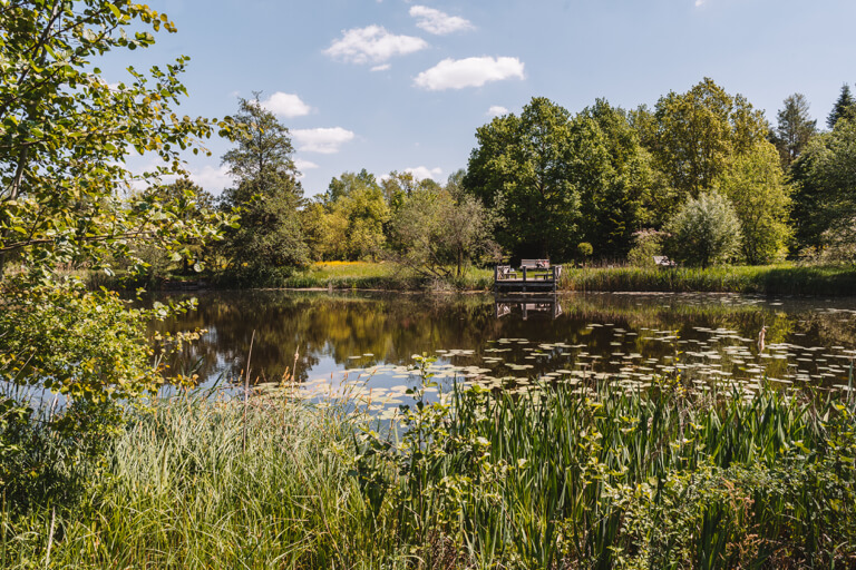 Botanischer-Garten-Uni-Bayreuth-See