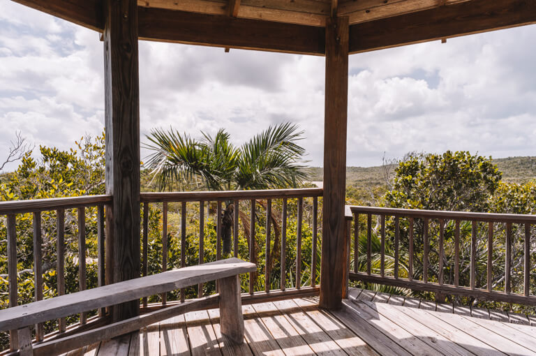 Eleuthera-Leon-Levy-Native-Plant-Preserve-Tower