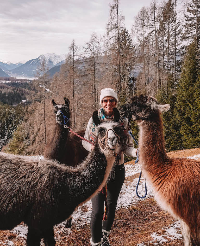 Innsbruck Winter Lamawanderung Obsteig