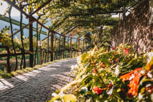 Meran Sehenswürdigkeiten Altstadt, Therme & tolle Ausflugsziele
