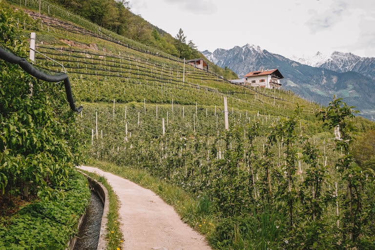 Marlinger Waalweg Suedtirol