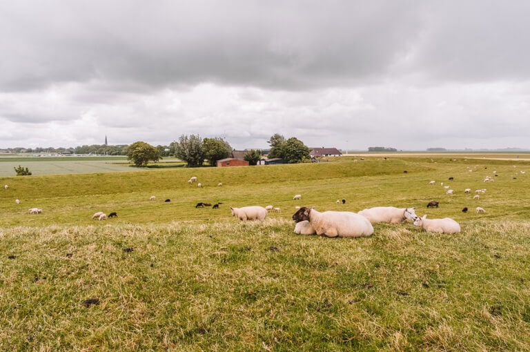 Friesland-Niederlande-Deiche-Nordsee