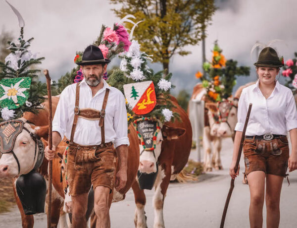 Almabtrieb Reith im Alpbachtal Tirol Oesterreich