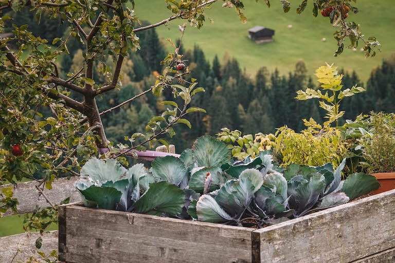 Alpbachtal Hochbeet