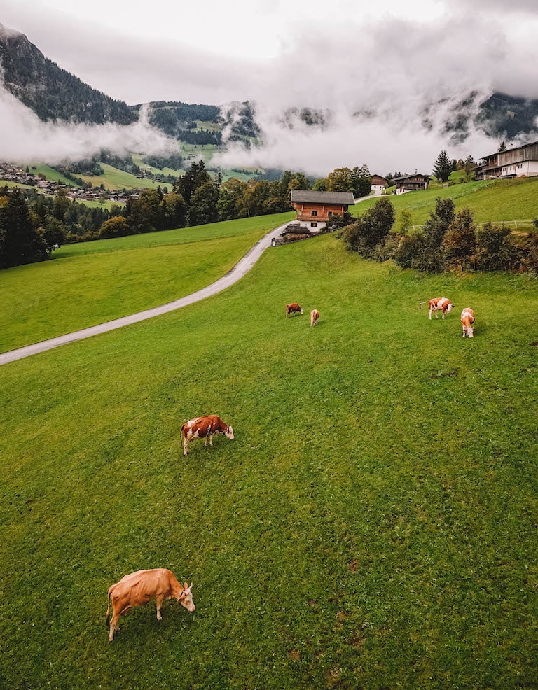 Alpbachtal Wiedersberger Horn Bahn