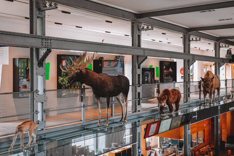 Bregenz Sehenswuerdigkeiten inatura Dornbirn