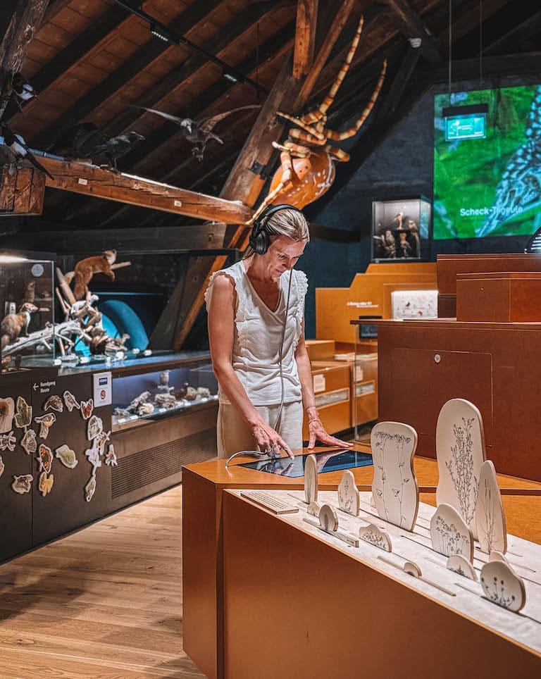 Natur Museum Dornbirn