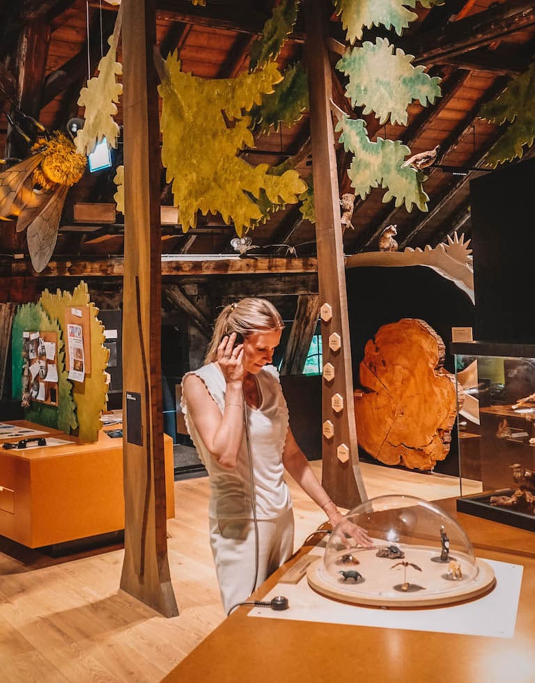 interaktives Museum Dornbirn