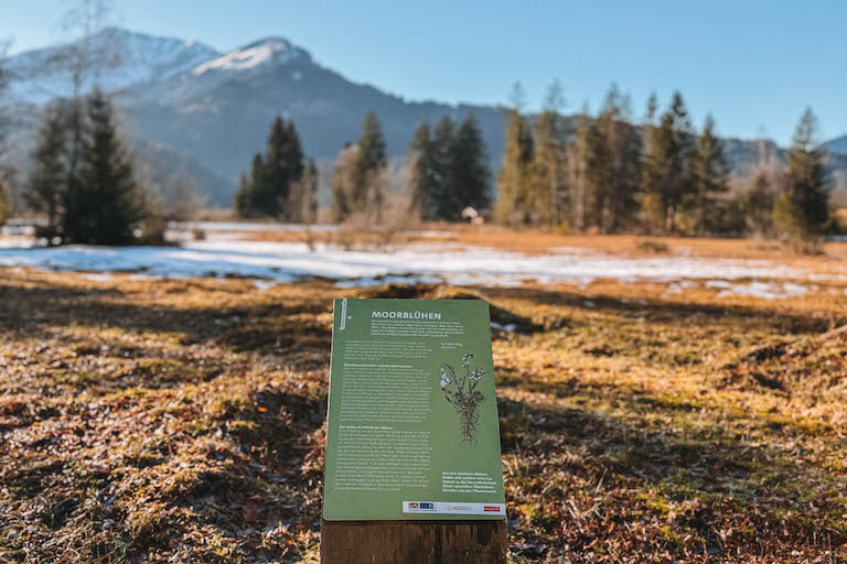 Moorlehrpfad Oberstdorf
