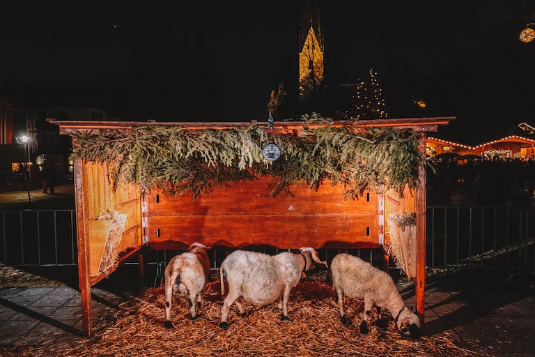 Schafe Weihnachtsmarkt Oberstdorf