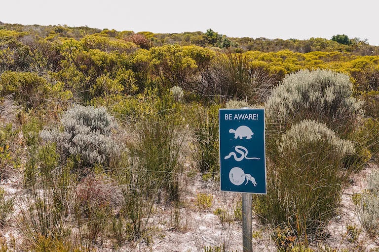 De Hoop Warnung Tiere