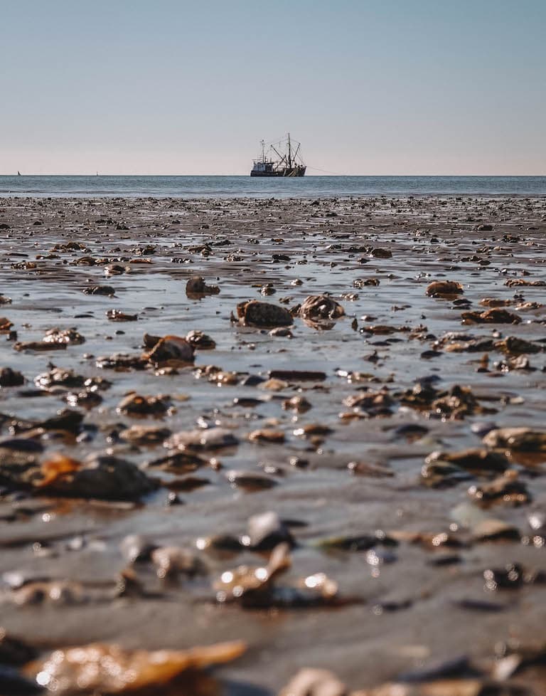 Strand Lister Ellenbogen