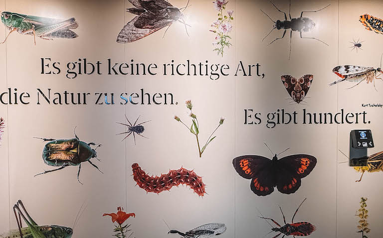 Ausstellung Nationalpark Kaunergrat