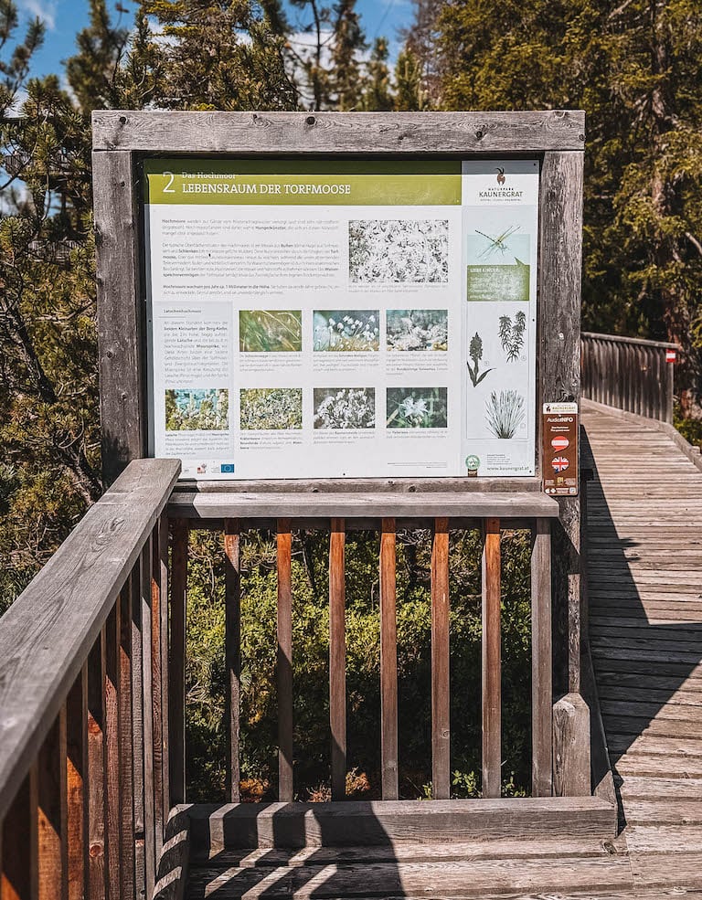 Infotafel Piller Hochmoor