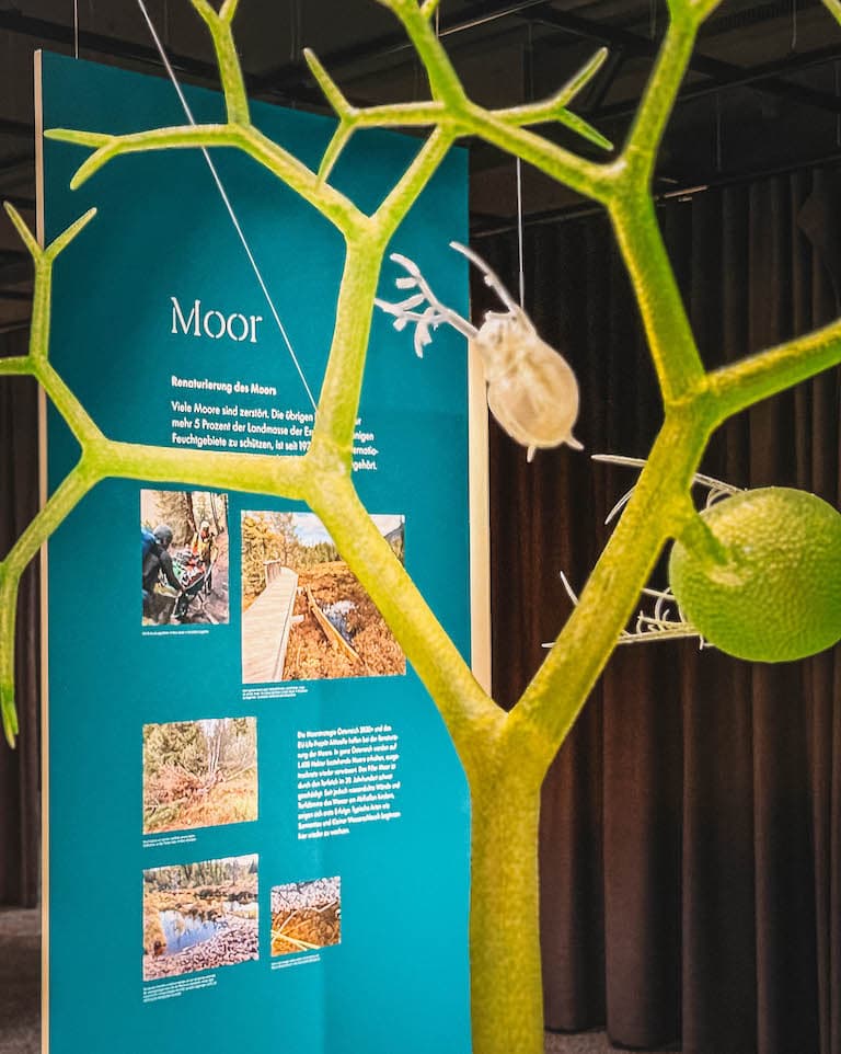 Moor Informationstafel Kaunergrat