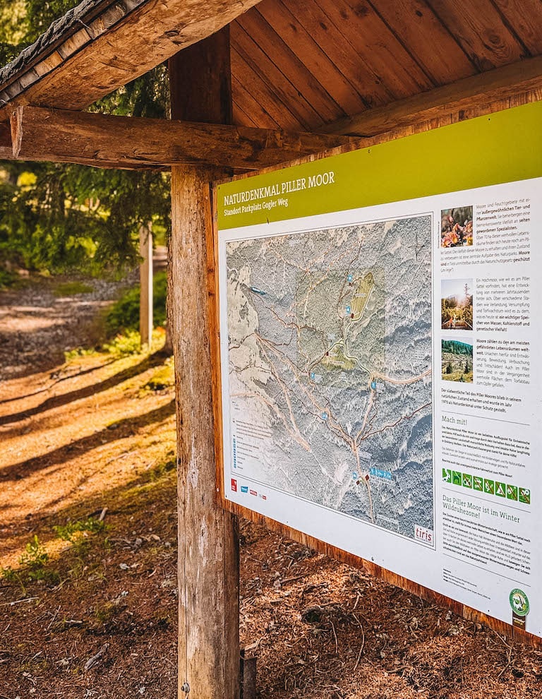 Piller Hochmoor Wanderung