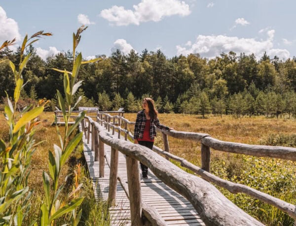 Naturpark Heidenreichsteiner Moor Pruegelsteg Waldviertel