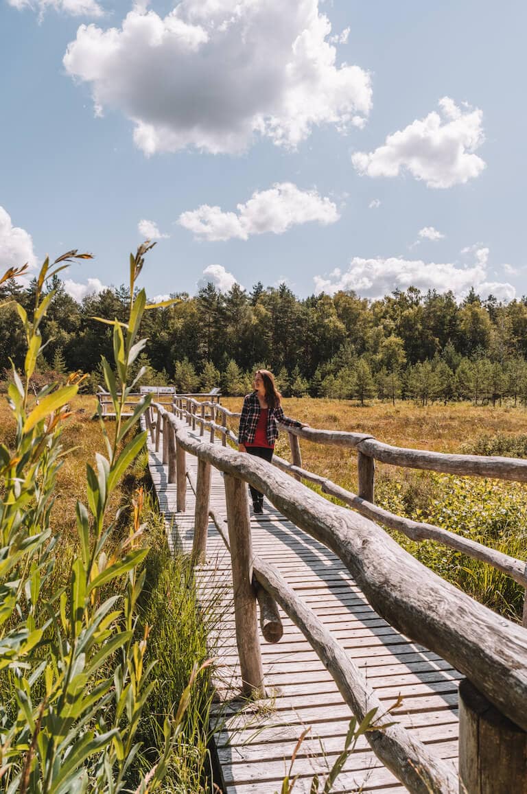 Naturpark Heidenreichsteiner Moor Pruegelsteg Waldviertel