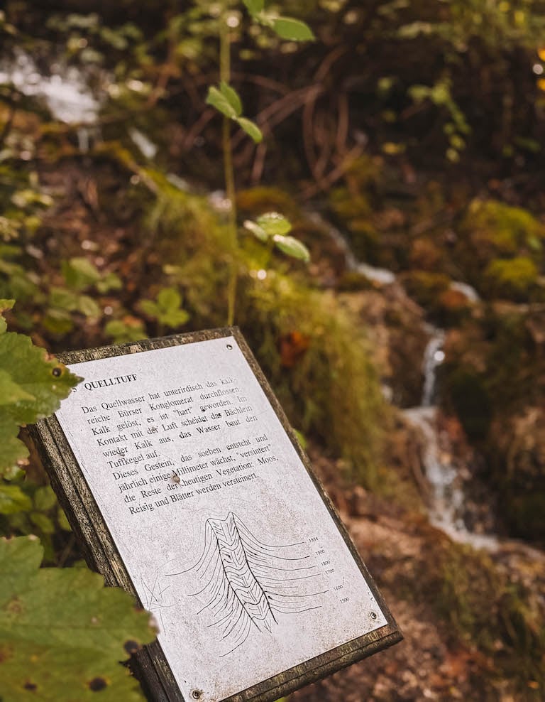 Bludenz Sehenswuerdigkeiten Buerser Schlucht Infotafel