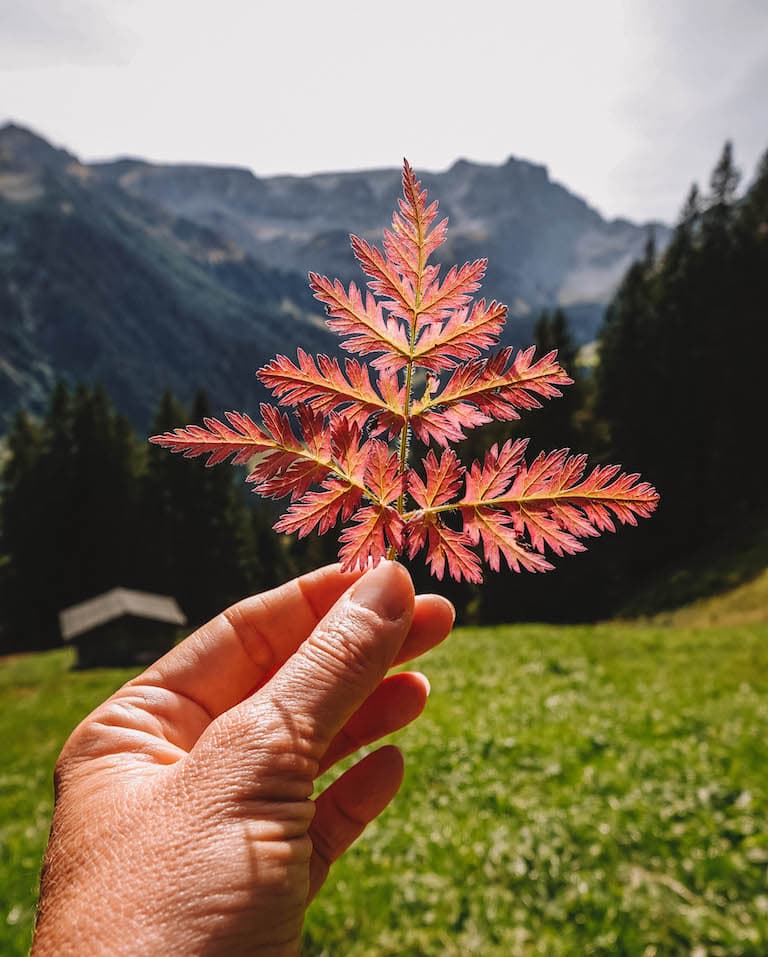Herbst Montafon Vorarlberg