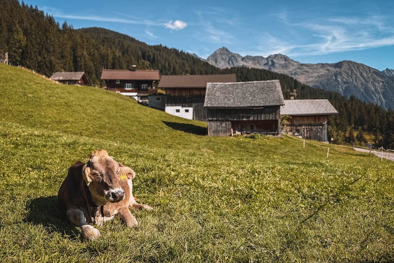 Kristberg Montafon Kuh