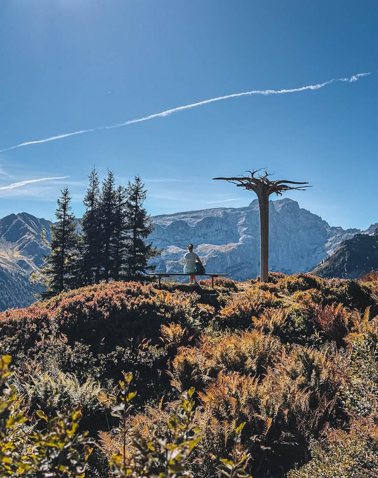 Montafon Wandern Gauertaler Alpkultour Golm Vorarlberg