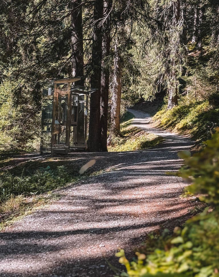 Montafon Wandern Kristberg Silberpfad Wald